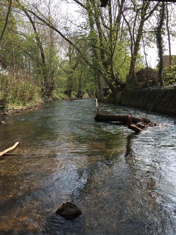 Appartamento Alte Schule Wachenheim Im Zellertal Wachenheim an der Weinstraße Esterno foto
